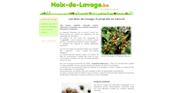 Desktop Screenshot of noix-de-lavage.be