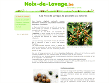 Tablet Screenshot of noix-de-lavage.be